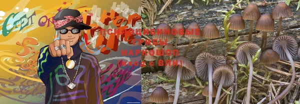 ГАЛЛЮЦИНОГЕННЫЕ ГРИБЫ Аркадак