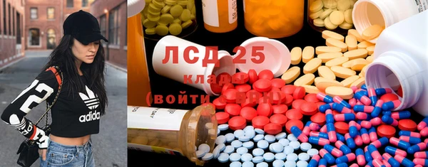 ГАЛЛЮЦИНОГЕННЫЕ ГРИБЫ Аркадак
